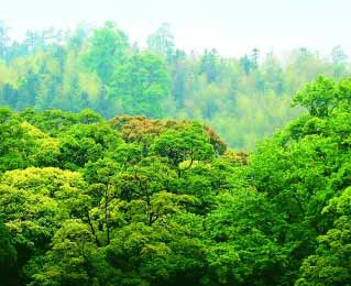 �o������ ��̺����