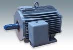 NEMA電動機
