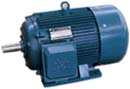 Y系列 三相異步電動機