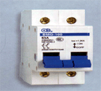 BMG-100系列隔離開關(guān)