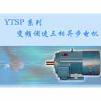YTSP系列變頻調(diào)速三相異步電機(jī)
