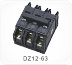 DZ12-63系列塑料殼斷路器