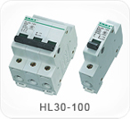 HL30-100系列隔離開(kāi)關(guān)