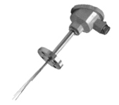 多點(diǎn)熱電偶WR系列