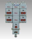 BXM(D)51系列防爆照明(動力)配電箱(ⅡB級)