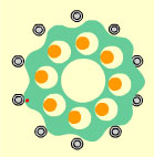 1/2007010909555736604