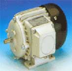 倫茨 13.750系列三相異步電機(jī)