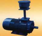 南方 YBF系列高壓隔爆型三相異步電動(dòng)機(jī)