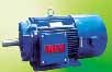 皖南 YVF2系列變頻調(diào)速專用三相異步電動(dòng)機(jī)