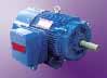 皖南 NEMA標(biāo)準(zhǔn)系列電動機