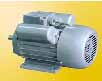 皖南 YL系列雙值電容異步電動機
