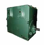 佳木斯 YYAKS系列高壓增安型三相異步電動機