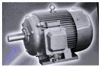 佳木斯 Y系列三相異步電動(dòng)機(jī)