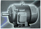佳木斯 HY系列核電用三相異步電動(dòng)機(jī)