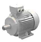 佳木斯 YEJ系列電磁制動(dòng)三相異步電動(dòng)機(jī)