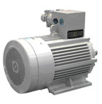 佳木斯 YB-H系列船用隔爆型三相異步電動(dòng)機(jī)