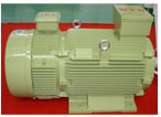 佳木斯 YZR3系列起重及冶金用繞線(xiàn)轉(zhuǎn)子三相異步電動(dòng)機(jī)
