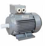 革新 Y2系列三相異步電動(dòng)機(jī)