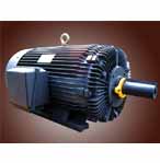 畢捷 NEMA標(biāo)準(zhǔn)高效三相異步電動(dòng)機(jī)