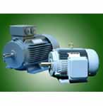 畢捷 Y系列三相異步電動機