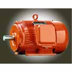 畢捷 YD系列變極多速三相異步電動(dòng)機(jī)