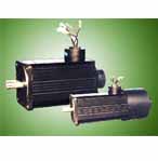 畢捷 YSF伺服電動機(jī)