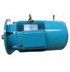 畢捷 偏航用制動電機(jī)