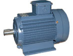 森力瑪 SM系列（IP54）普通泛用高校三相異步電動機