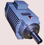 泰山新動(dòng)力 低速大扭矩電機(jī)