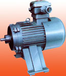 萬高 YBJa系列絞車用隔爆電動機(jī)