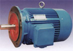 萬高 Y系列三相異步電動機(jī)