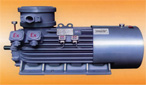 萬(wàn)高 YB355-450隔爆型高壓三相異步電動(dòng)機(jī)