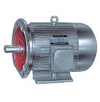 震威 Y系列三相異步電動機(jī)