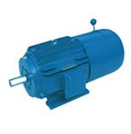 震威 YEJ2系列電磁制動電動機(jī)