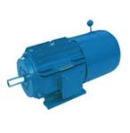 震威 YVP2系列變頻調(diào)速三相異步電動機(jī)