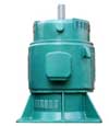 東方 YJL系列軸伸向上的立式鼠籠型三相異步電動(dòng)機(jī)