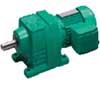 吉祥 R系列斜齒輪減速電機