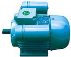 臥龍電氣 YL系列雙值電容單相異步電動(dòng)機(jī)