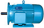 臥龍電氣 Y系列三相異步電動(dòng)機(jī)