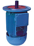 臥龍電氣 Y2系列三相異步電動(dòng)機(jī)