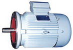 臥龍電氣 NEMA標(biāo)準(zhǔn)系列三相異步電動(dòng)機(jī)