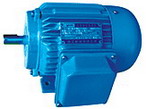 臥龍電氣 YD系列變極多速三相異步電動(dòng)機(jī)