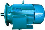 臥龍電氣 YZS系列注塑機(jī)用三相異步電動(dòng)機(jī)