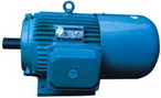 臥龍電氣 YEJ系列電磁制動(dòng)三相異步電動(dòng)機(jī)
