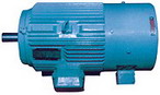 臥龍電氣 BPY系列變頻調(diào)速三相異步電動(dòng)機(jī)