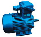 臥龍電氣 YB系列隔爆型三相異步電動(dòng)機(jī)