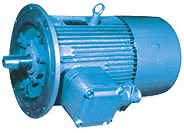 臥龍電氣 DSB系列礦用輸送機(jī)用隔爆型三相異步電動(dòng)機(jī)