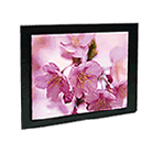 瑞豐科技 RFV-201 工業(yè)液晶監(jiān)視器