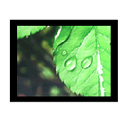 瑞豐科技 RFV-230 工業(yè)液晶監(jiān)視器