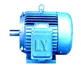 嵐洋 Y系列三相異步電動(dòng)機(jī)